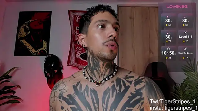 TigerStripes1_ Pertunjukan Webcam