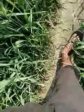 ThethunderPo Obrolan Langsung XXX