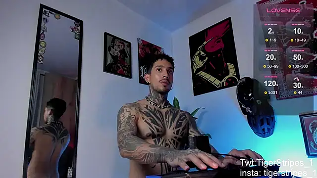 Show webcam de TigerStripes1_