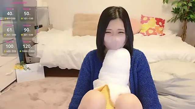 HIMAWARI_88ch webcam show