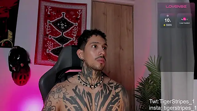 TigerStripes1_'s Webcam Show