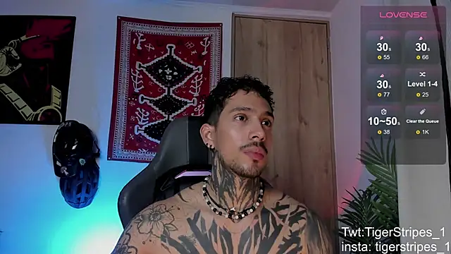 TigerStripes1_'s Webcam Show