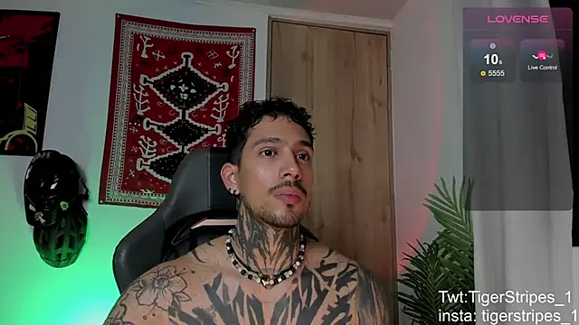 TigerStripes1_'s Webcam Show