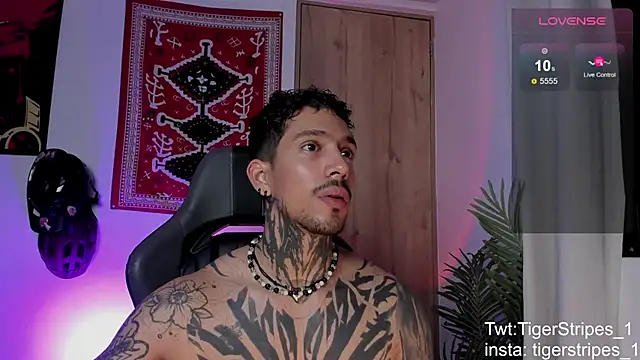 TigerStripes1_: διαδικτυακό σόου στην κάμερα