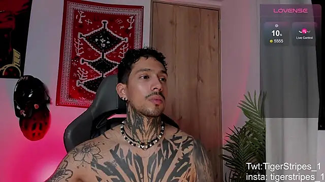 TigerStripes1_ Show in webcam