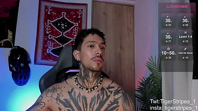 TigerStripes1_ Chat XXX in diretta