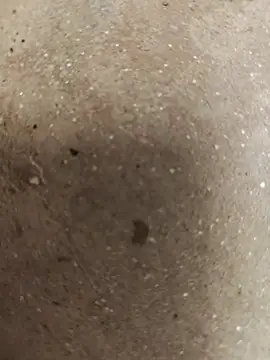 67sanjun Webbikameraesitys