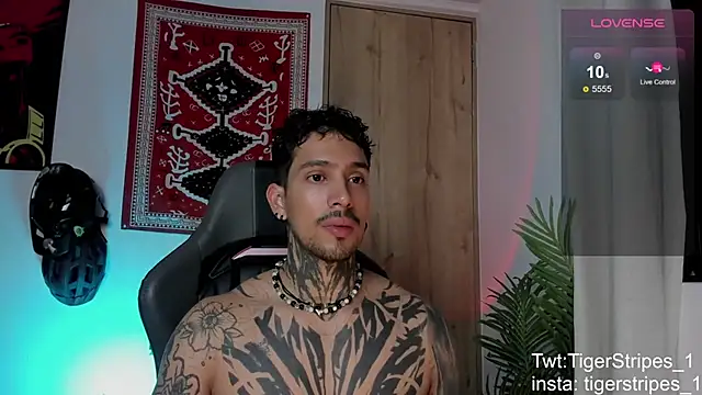 TigerStripes1_ Obrolan Langsung XXX