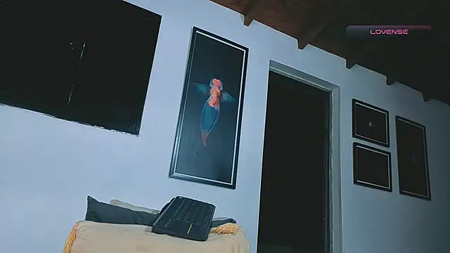 SilvaBranko Webcam Show