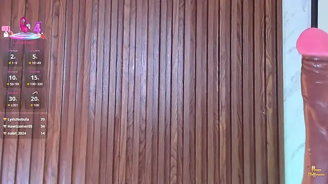 AndyBlake_ Show Webcam