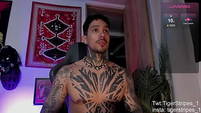 TigerStripes1_'s Webcam Show