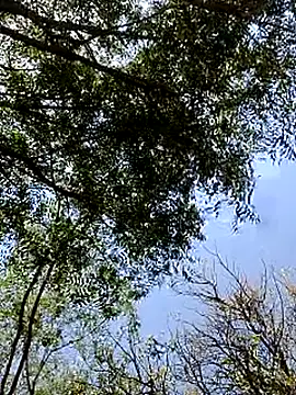 Rs_sonam's Live XXX Chat