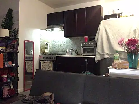 Pertunjukan Kamera Web littyleesh1