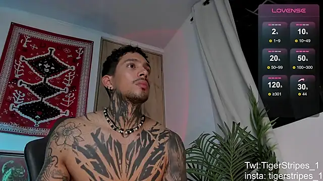 Show webcam de TigerStripes1_