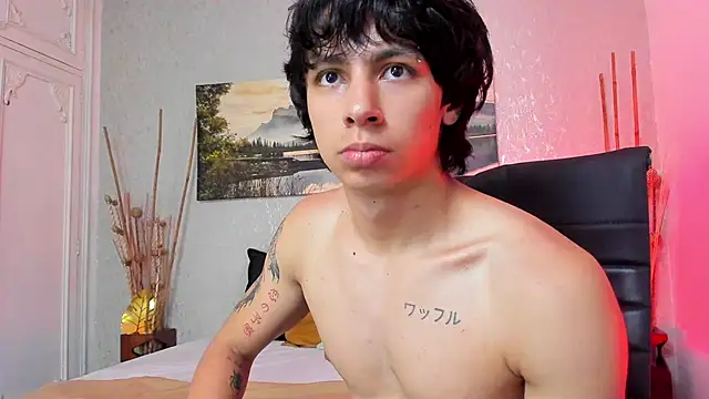 Tyler_durtenn Webbikameraesitys