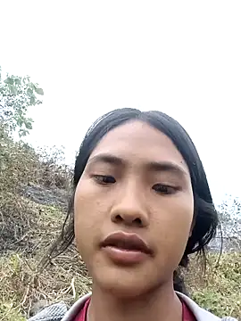 Hoa-tuylip Webcam-Show