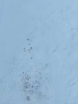 Chat XXX en directo de _uncle_Mitya-43_