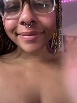 nintendhoe's Webcam Show