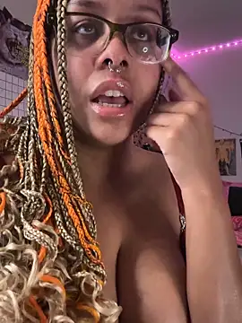 nintendhoe's Webcam Show