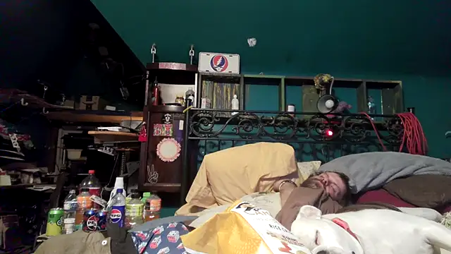 charactrzero élő XXX-chatje