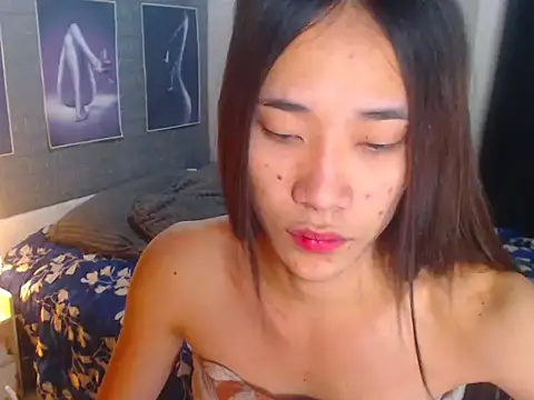 AsianDestroyerのウェブカメラショー