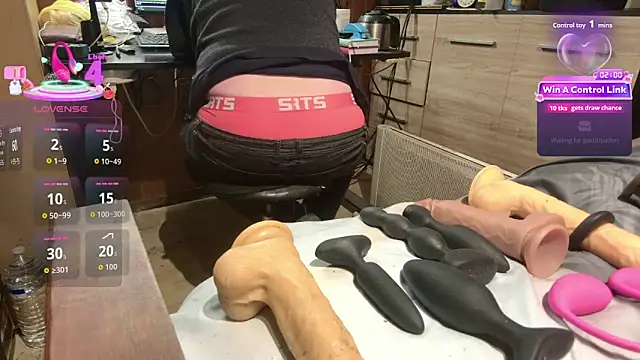 Show webcam de misteryman1956