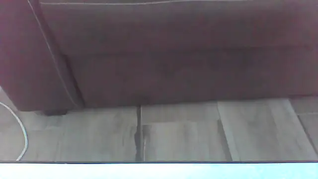 davv28n Webbikameraesitys