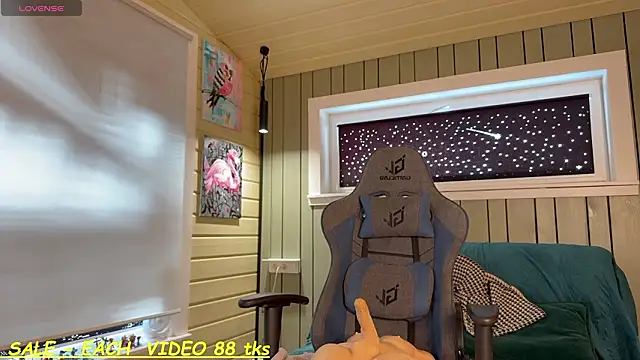 SandyChrisのウェブカメラショー