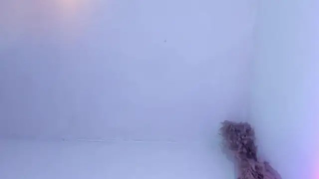 Brenda_lot's Live XXX Chat