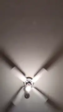 Cnutt310 élő XXX-chatje