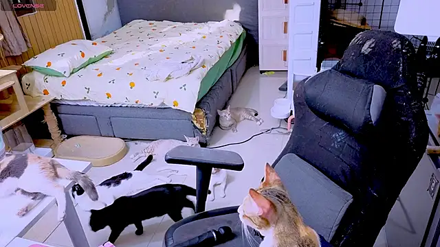 Kana_G: онлайн-секс-чат