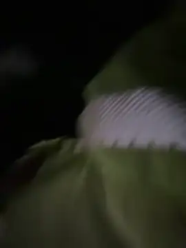 teasy01's Webcam Show