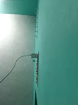 Villageanuty Pertunjukan Webcam