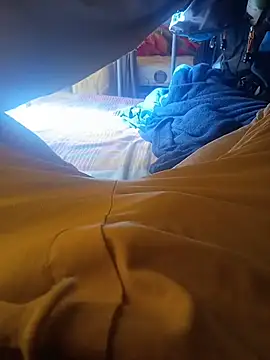 Stallionbull37 Chat XXX live