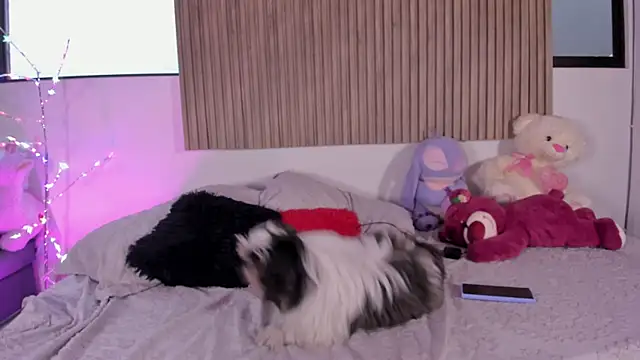 Chat +18 de Hayley-Fox ao vivo