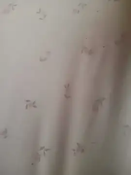 Chat XXX en directo de Sweetboykay