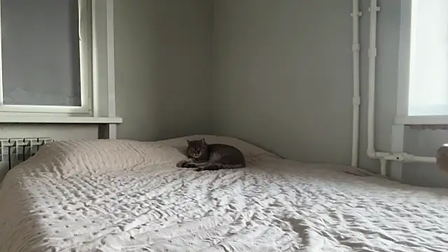 Chat +18 de lisa_montana ao vivo