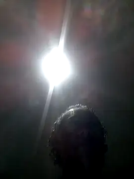 will1980 webkamerás műsora