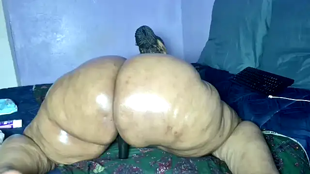 Show Webcam de wilmaassylum