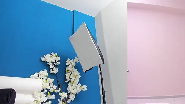 letty_straus 现场XXX聊天