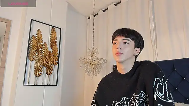 AerumChaen Webbikameraesitys