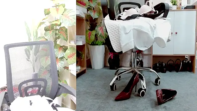 Zinna999 即時 XXX 聊天