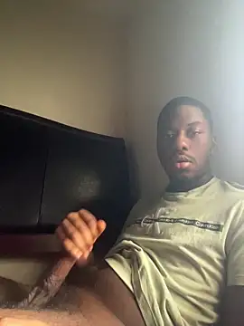 Show webcam de ThickDic28