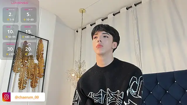 AerumChae 网络视讯表演