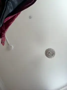 Primalking Webcam-Show