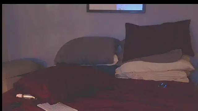 NWBuilt Show in webcam