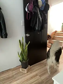 Chat XXX en directo de RachelWeisz_