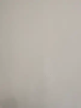 Show Webcam de THALIA_EF