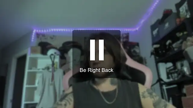 otiebisのウェブカメラショー