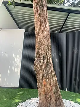 ruby_tylor_ – Naživo XXX chat